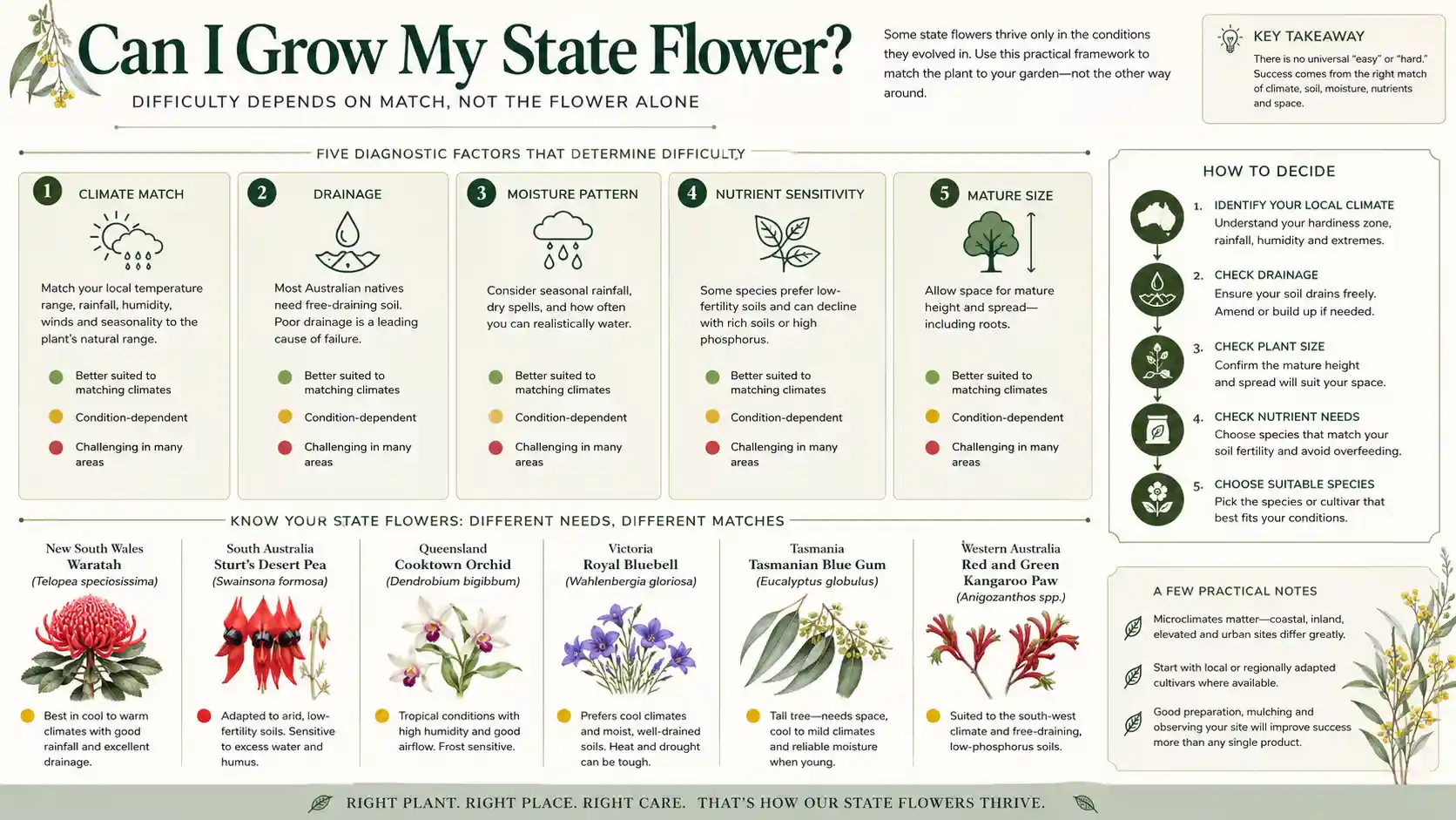 Australian native flowers by state