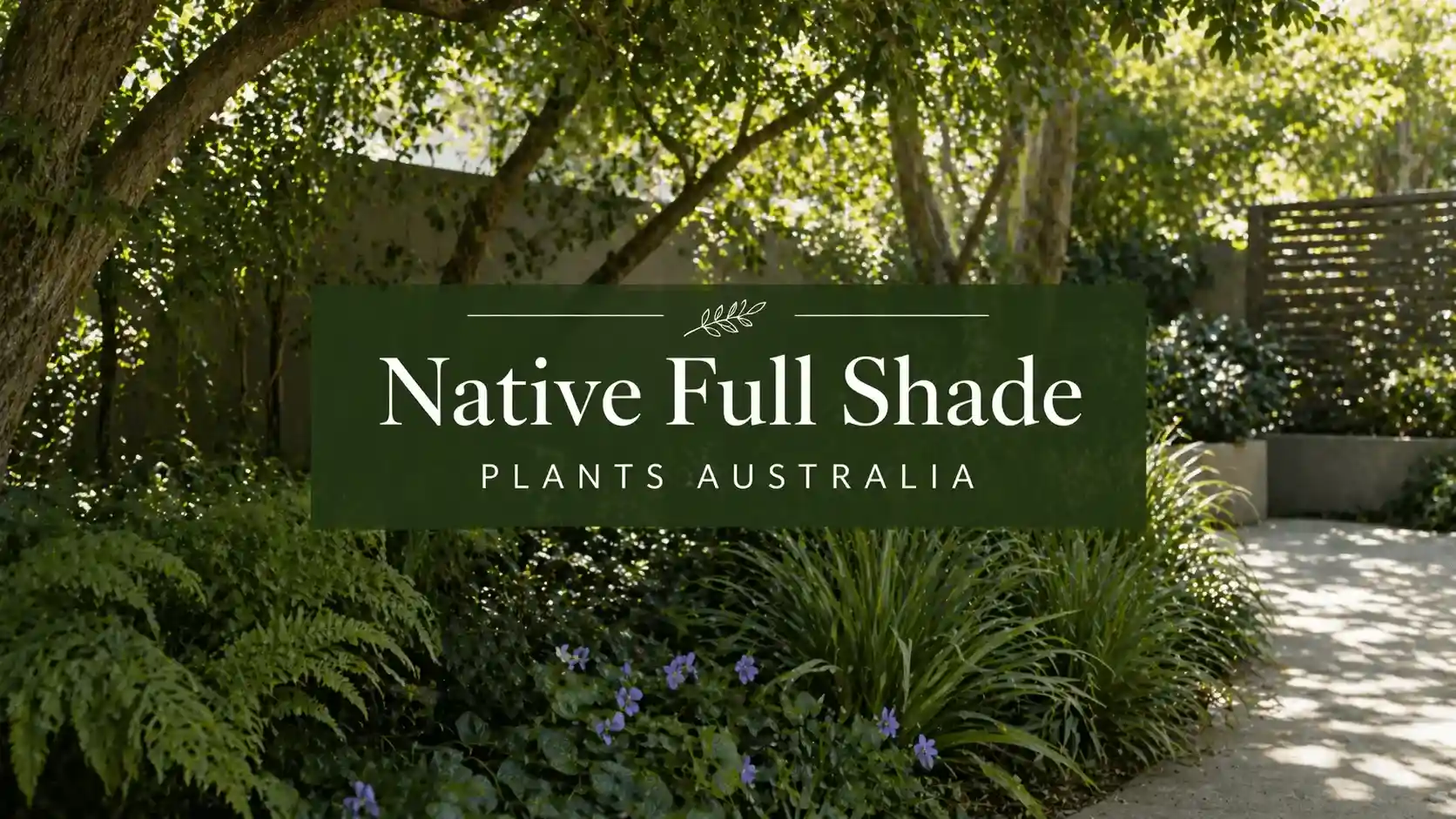 native full shade plants australia