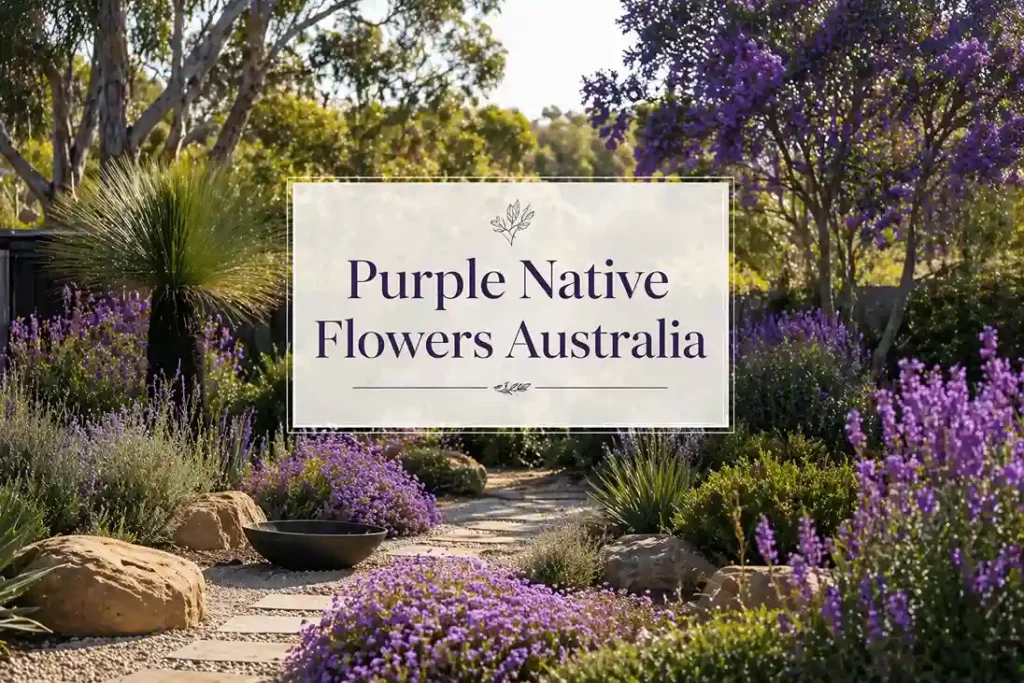 purple native flowers australia