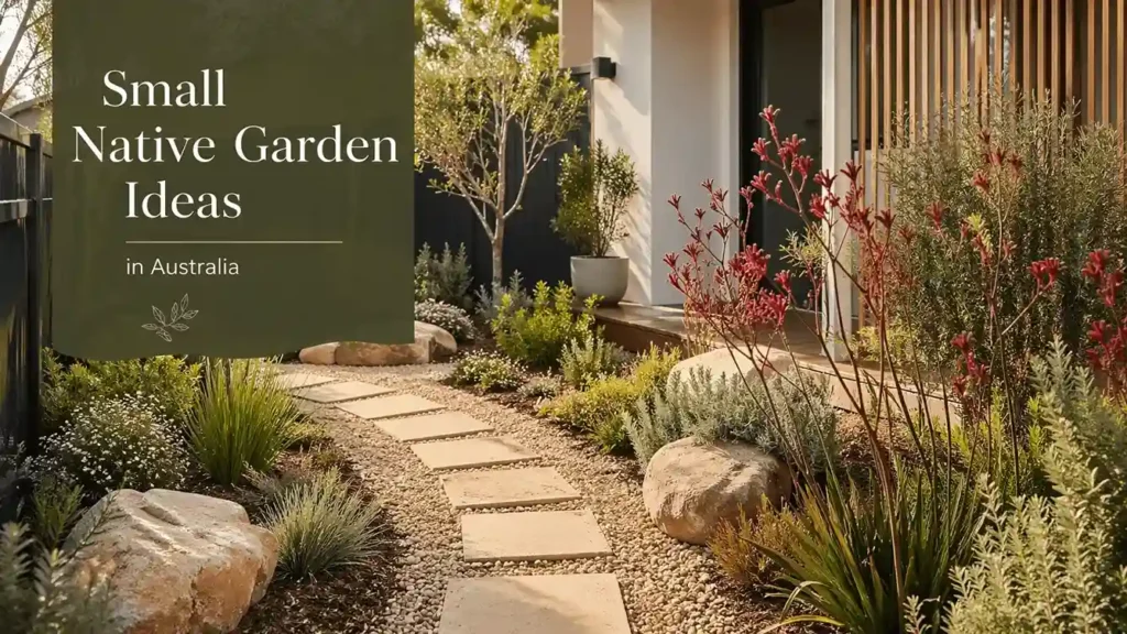 small native garden ideas australia