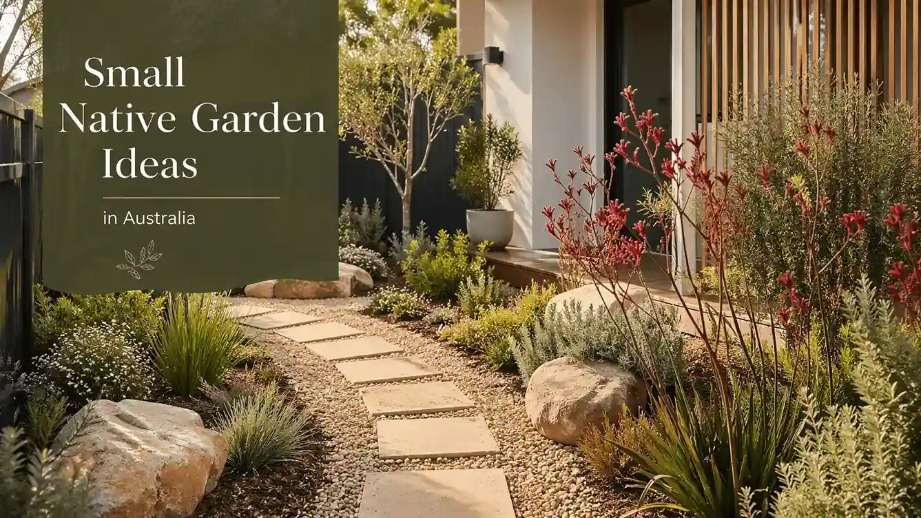 small native garden ideas australia
