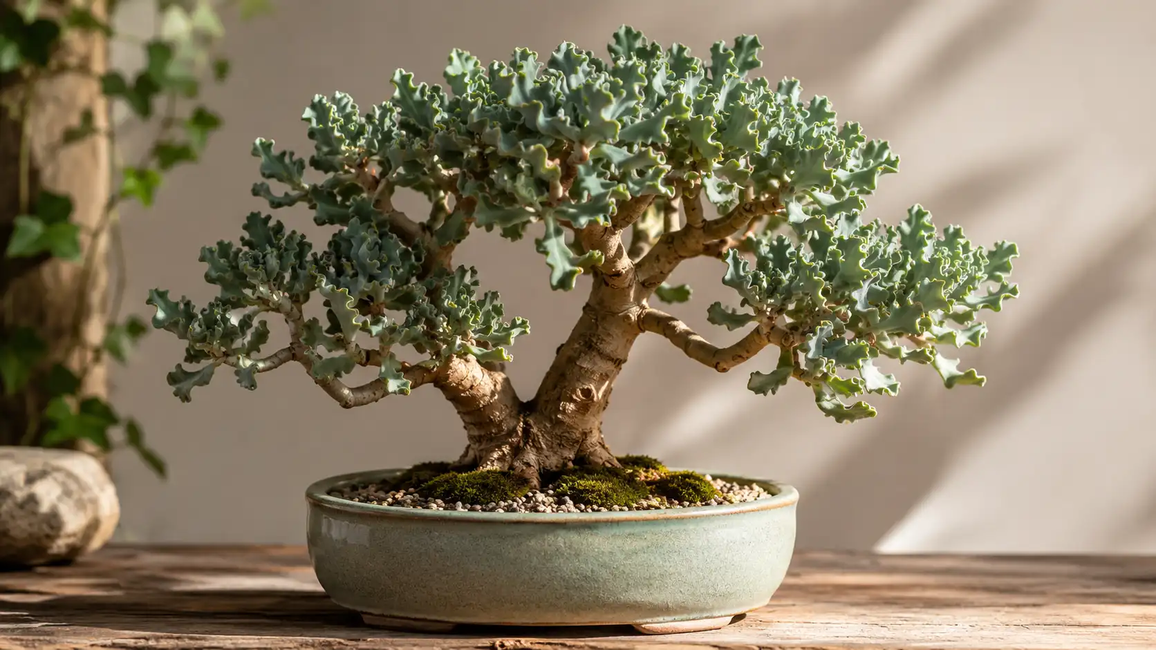 ripple jade bonsai